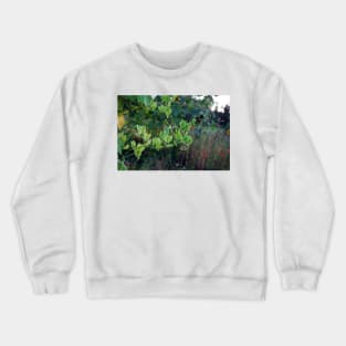 Twist and Turn - Climbing Plant in Summer Crewneck Sweatshirt